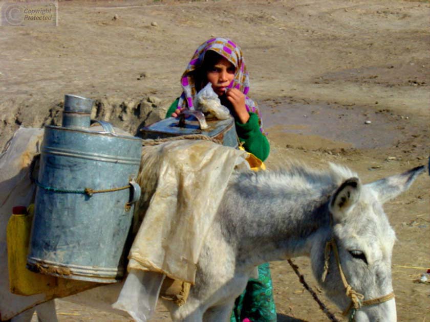 Girl with Donkey